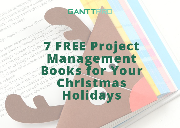 gantt chart books project management