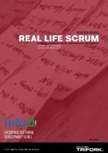 Real life scrum