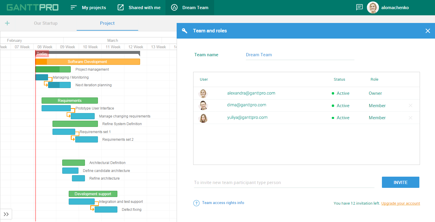 team project gantt chart ganttpro