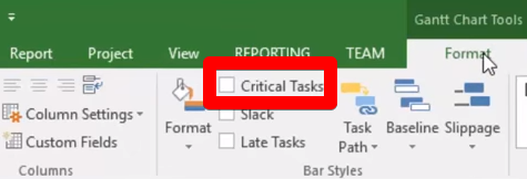 How to show critical path in MS Project