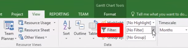 How to show critical path in MS Project