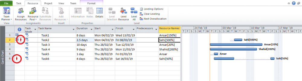 resource assignments in ms project