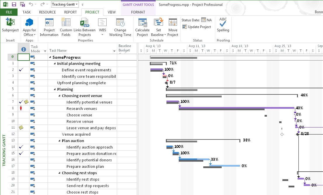 Microsoft Project Tutorial 2025 - Grata Mathilde