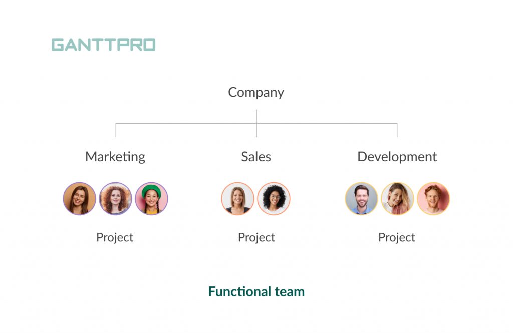 Types of teams: functional teams