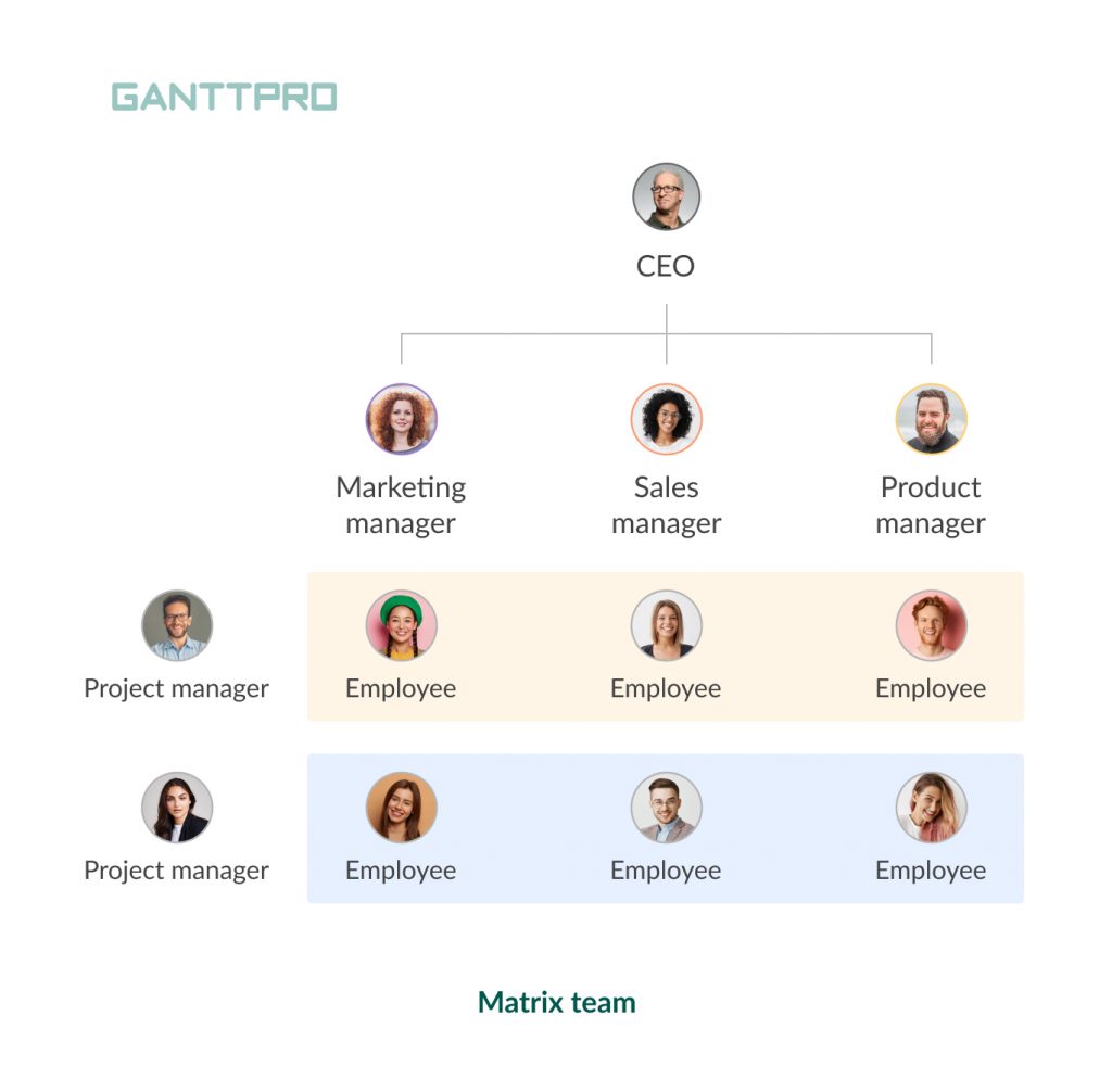 Types of teams: matrix teams