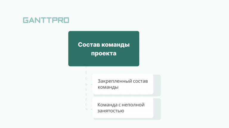 В монофункциональную команду проекта входят участники