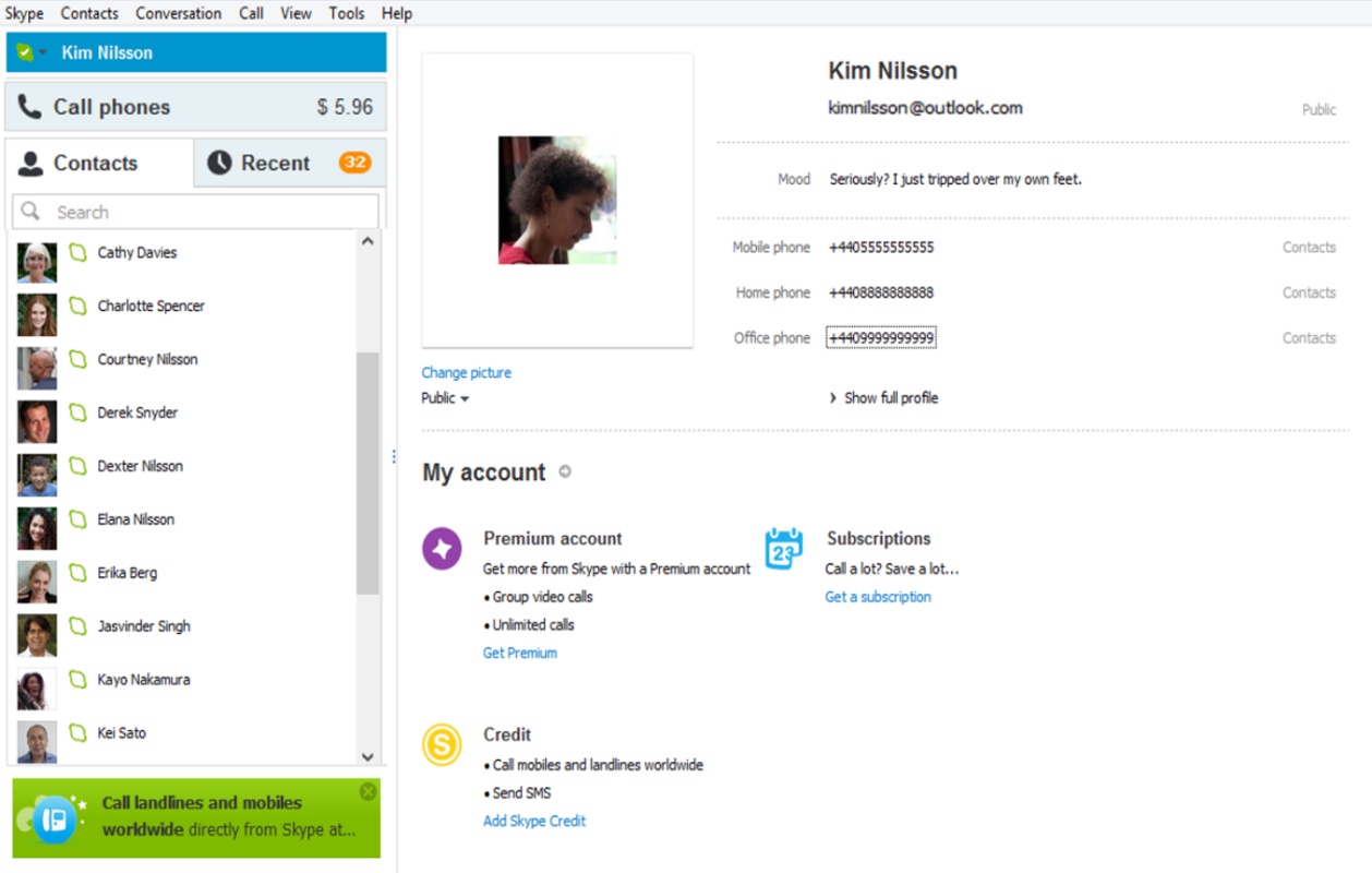 SEO communication tool-Skype