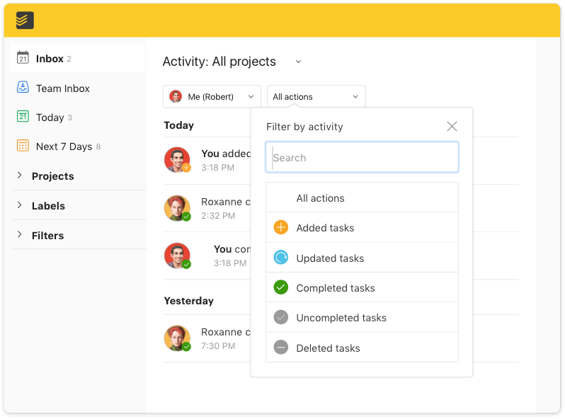 todoist pro features