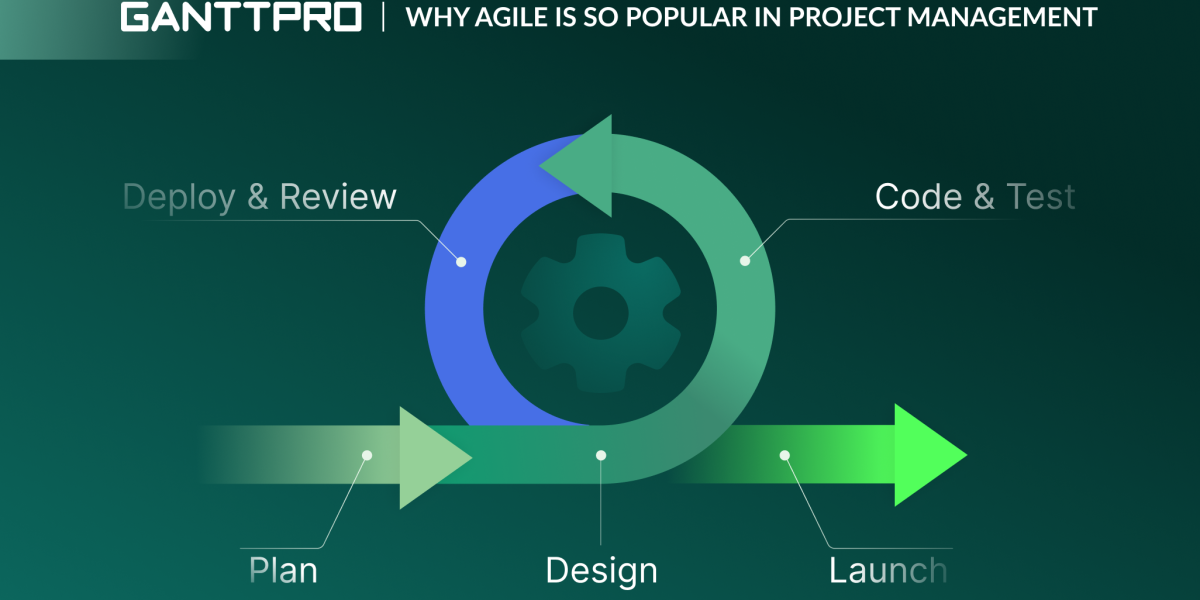 Agile methodology in project management