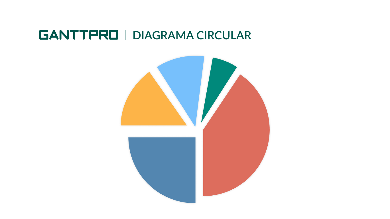 Organizador grafico diagrama circular