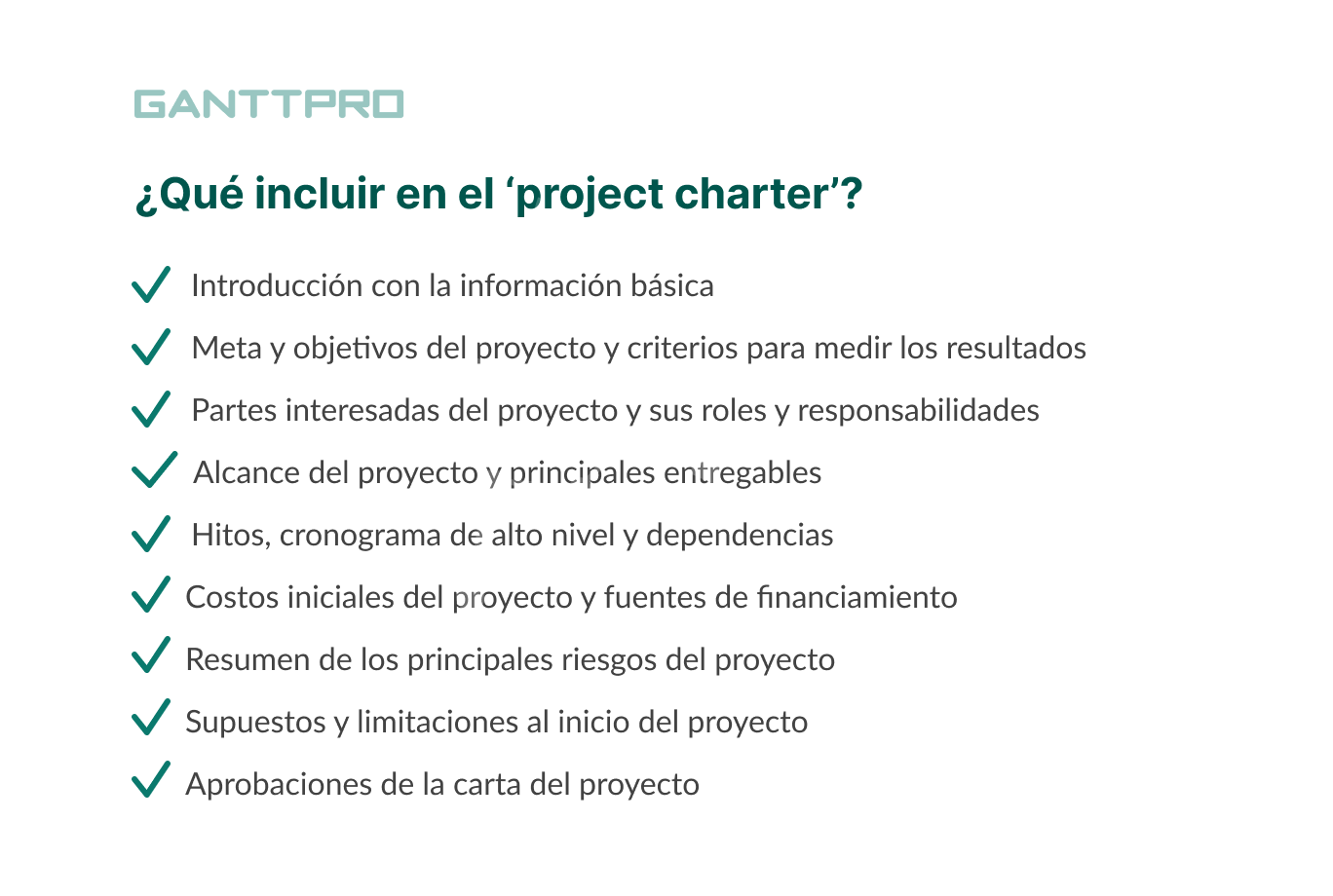 ejemplo de elementos de project charter