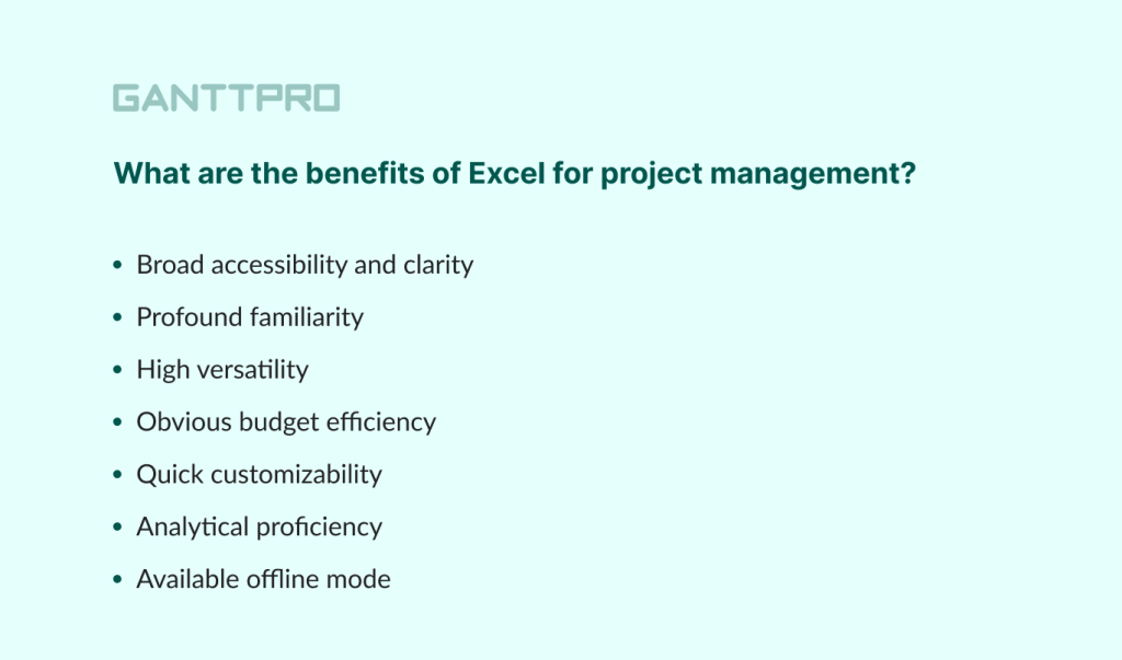 Project management software or Excel: common Excel benefits