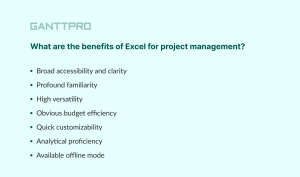 Choosing Project Management Software or Excel