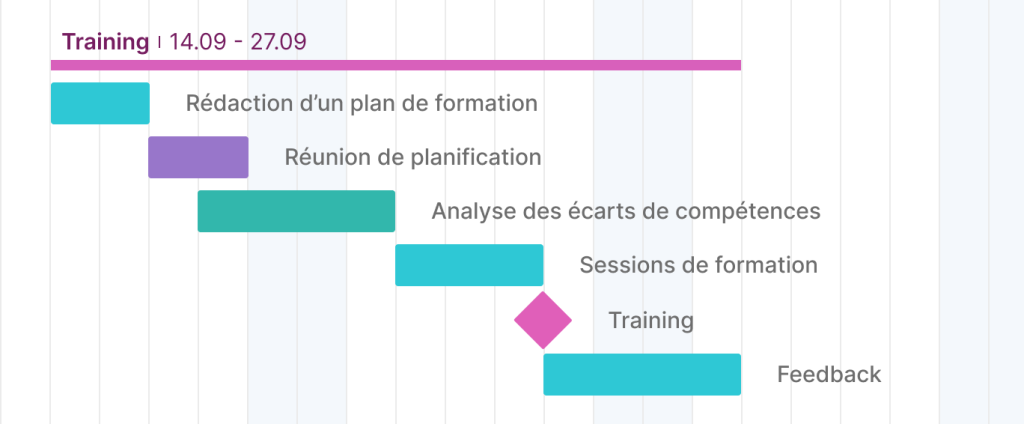 exemple de jalon de formation